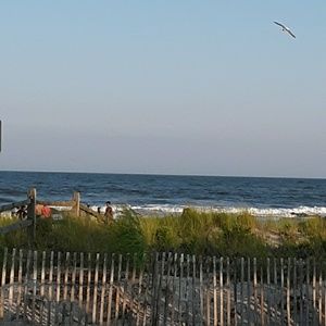 Meet your Posher, Kaitlin